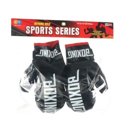 GUANTES DE BOX EN BOLSA 0193