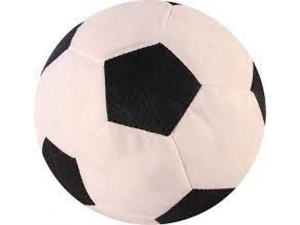 Pelota Felpa en Red 3532