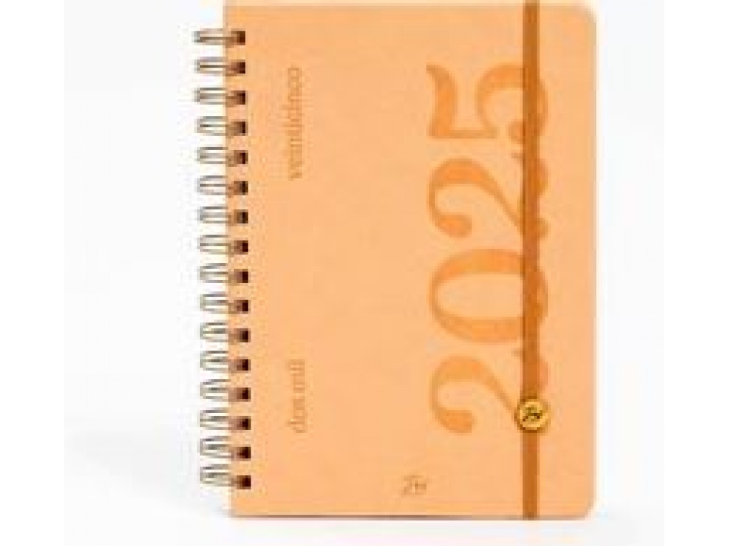 AGENDA CLASICA NEO DIA X DIA 15X21 FW